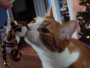 pekoe