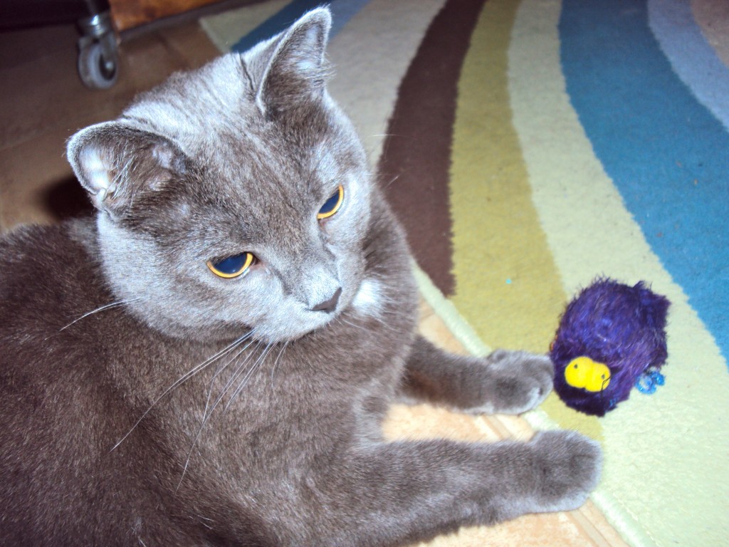 ollie and gwenyth