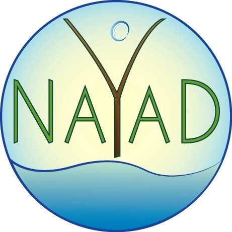 REVIEW & GIVEAWAY: Nayad Swim Wear
